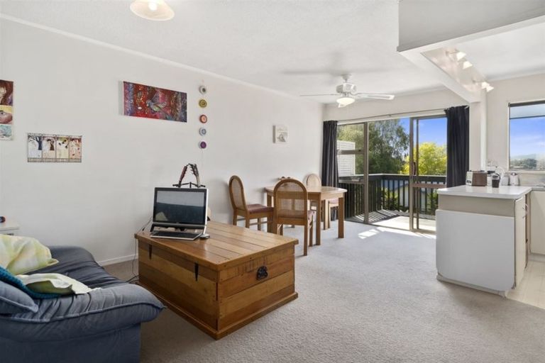 Photo of property in 39c Scantlebury Street, Tauranga South, Tauranga, 3112
