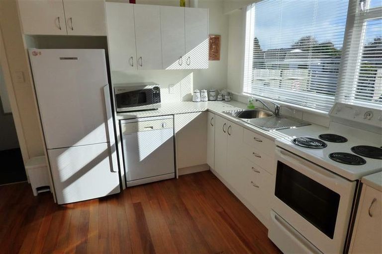 Photo of property in 41a Ballance Street, Lower Vogeltown, New Plymouth, 4310