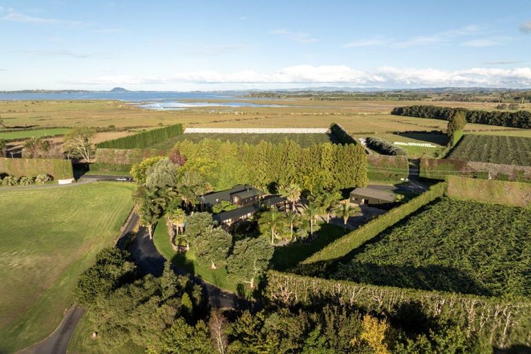 Photo of property in 185 Matahui Road, Aongatete, Katikati, 3181