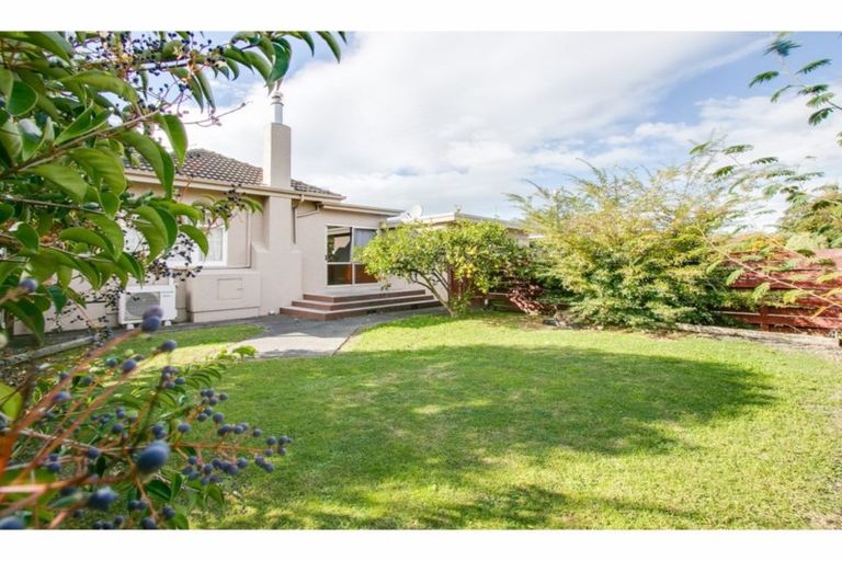 Photo of property in 117 Nuffield Avenue, Marewa, Napier, 4110