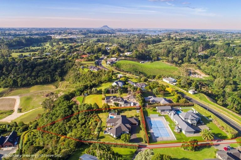 Photo of property in 312 Oropi Road, Oropi, Tauranga, 3173