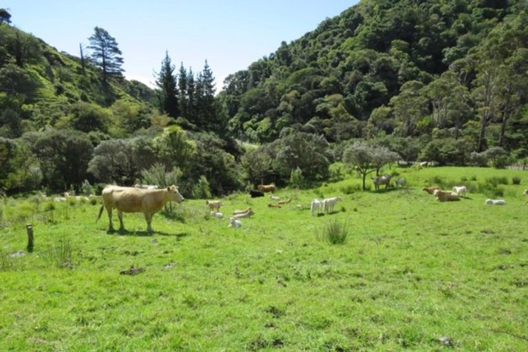 Photo of property in 158 Waiotemarama Gorge Road, Opononi, Kaikohe, 0473