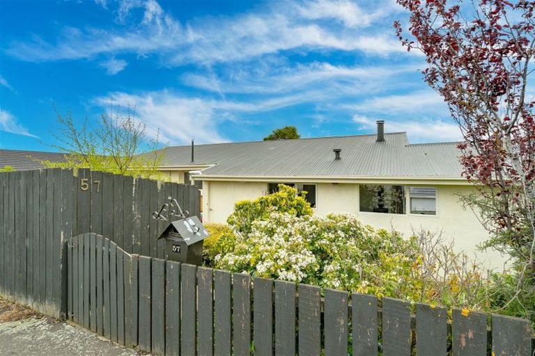 Photo of property in 57 Belford Street, Waverley, Dunedin, 9013