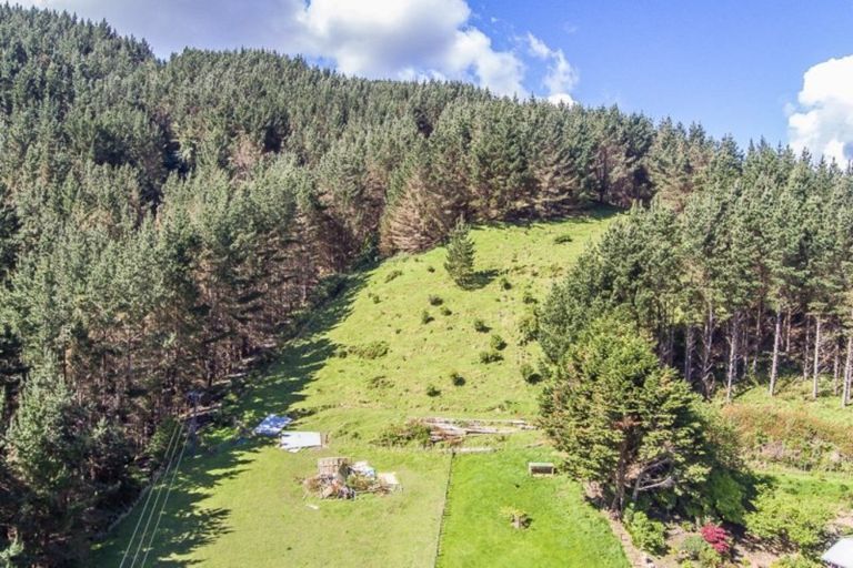 Photo of property in 55 Reikorangi Road, Waikanae, 5391