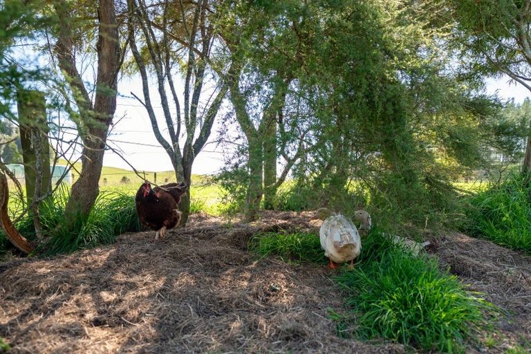 Photo of property in 691 Te Waerenga Road, Hamurana, Rotorua, 3096