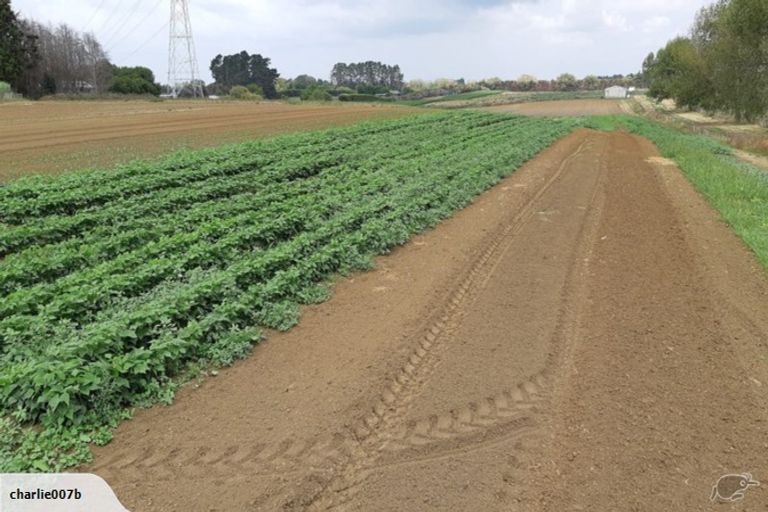 Photo of property in 1217 Glenbrook Road, Glenbrook, Waiuku, 2681