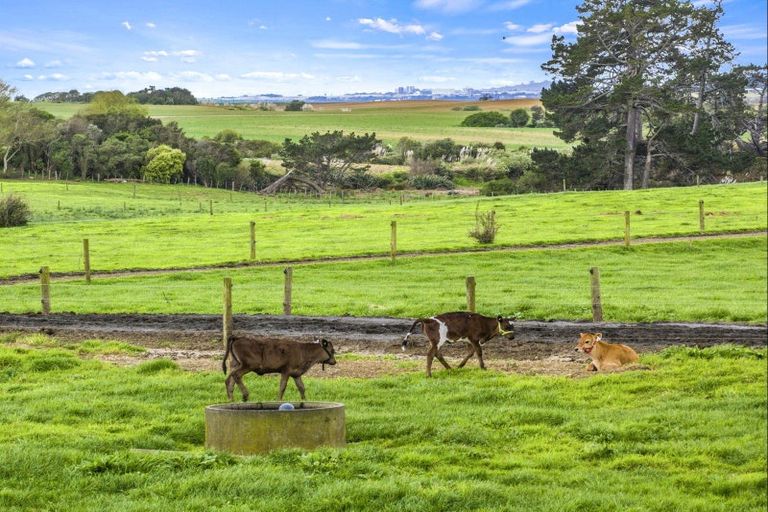 Photo of property in 106 Wright Road, Dairy Flat, Albany, 0794