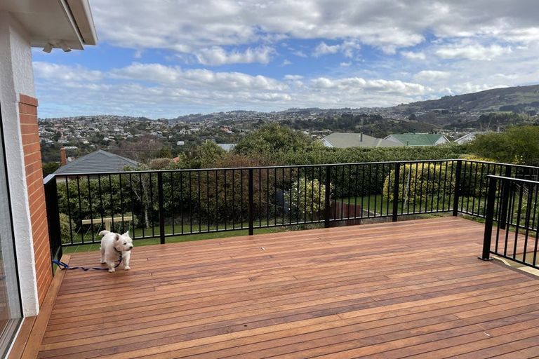 Photo of property in 177 Gladstone Road, Dalmore, Dunedin, 9010