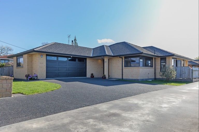 Photo of property in 129 Winchester Street, Levin, 5510