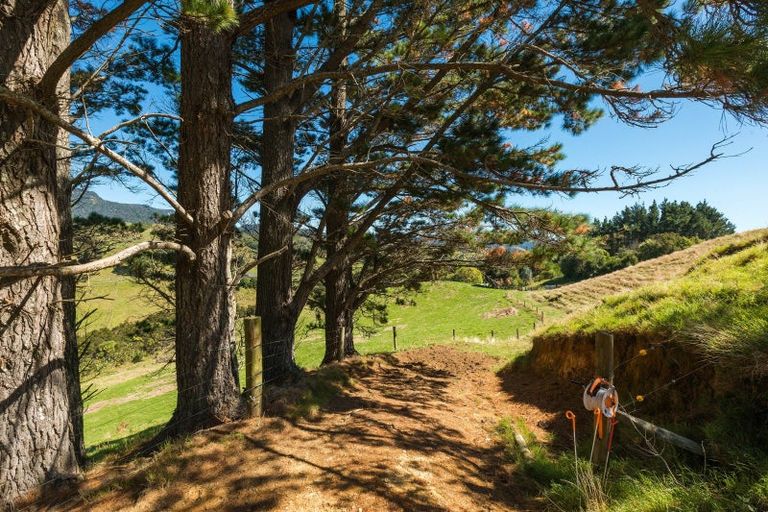 Photo of property in 630 Wright Road, Aongatete, Katikati, 3181