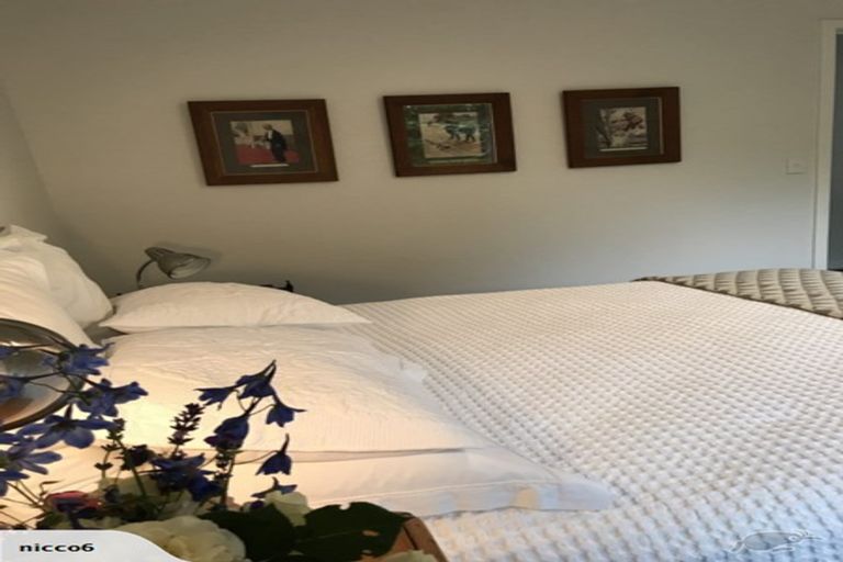 Photo of property in 84 Old Renwick Road, Springlands, Blenheim, 7201