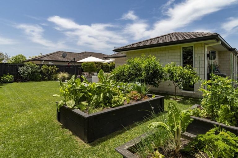 Photo of property in 15 Hansard Place, Bethlehem, Tauranga, 3110