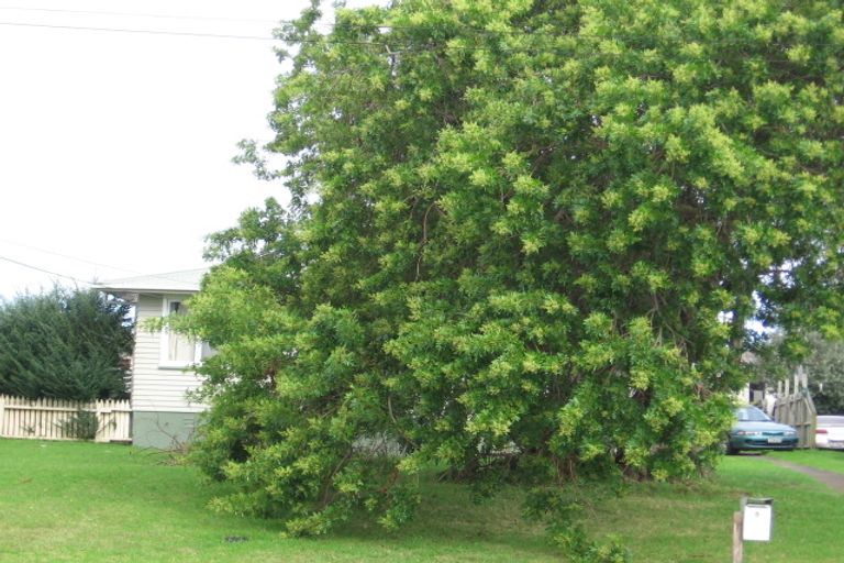 Photo of property in 5 Larnoch Road, Henderson, Auckland, 0610