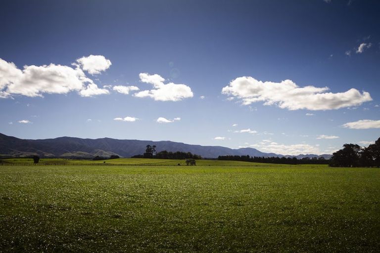 Photo of property in 490 Maharahara Road, Dannevirke, 4972