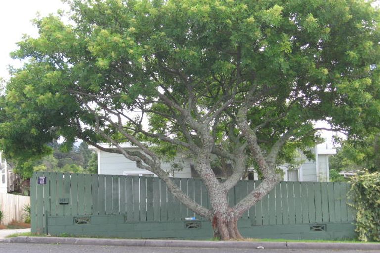 Photo of property in 1/117 Rosier Road, Glen Eden, Auckland, 0602