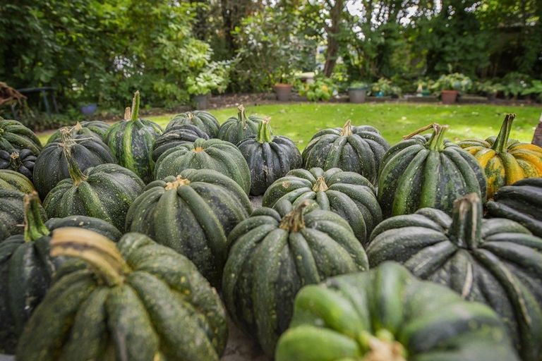 Photo of property in 691 Marshland Road, Ouruhia, Christchurch, 8083