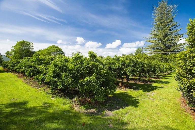 Photo of property in 42 Whitmore Road, Ormond, Gisborne, 4071