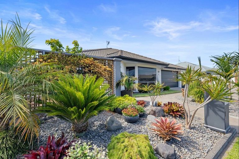 Photo of property in 59b Plateau Heights, Mount Maunganui, 3116
