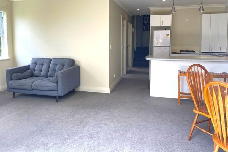 Photo of property in 59 Contour Avenue, Pyes Pa, Tauranga, 3112