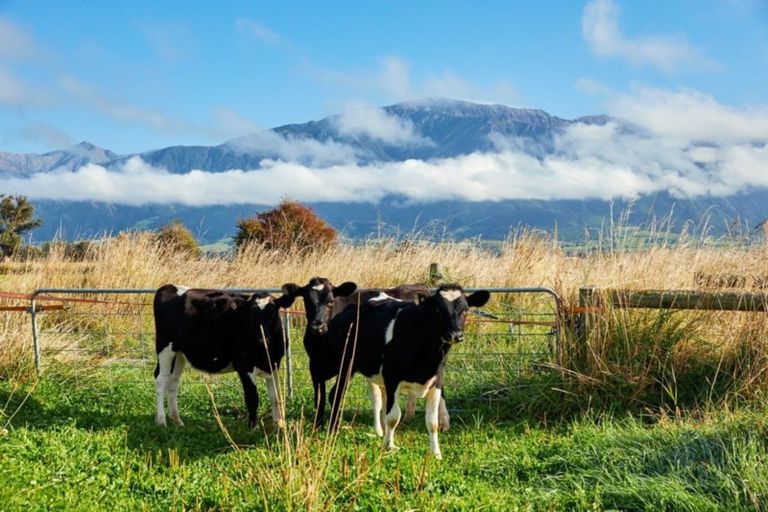 Photo of property in 158 Ludstone Road, Kaikoura, 7371