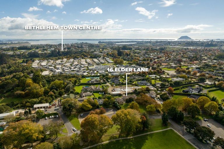 Photo of property in 16 Elder Lane, Bethlehem, Tauranga, 3110