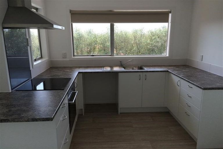 Photo of property in 14 Counsel Terrace, Mount Albert, Auckland, 1025
