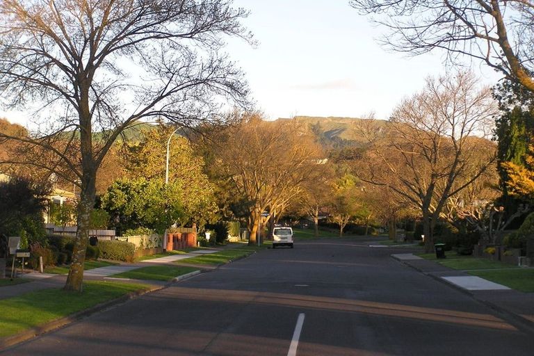 Photo of property in 103 Middle Road, Havelock North, 4130