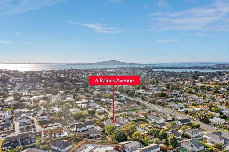 Photo of property in 6 Raines Avenue, Forrest Hill, Auckland, 0620