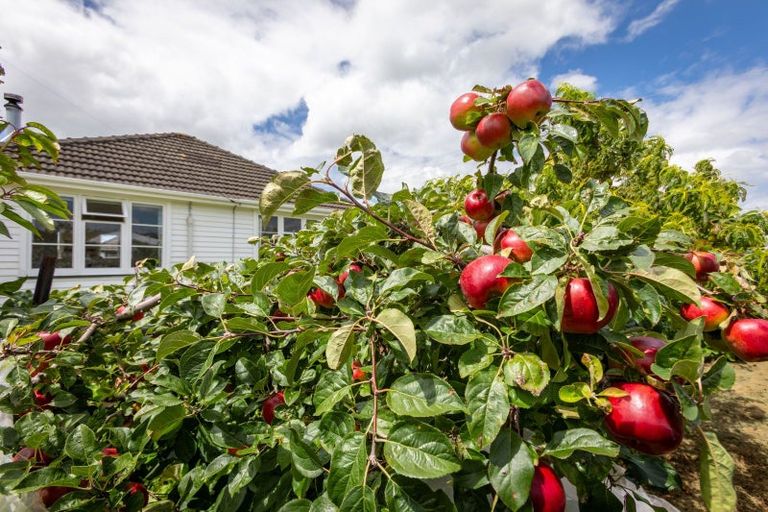 Photo of property in 21 Hall Street, Woodville, 4920