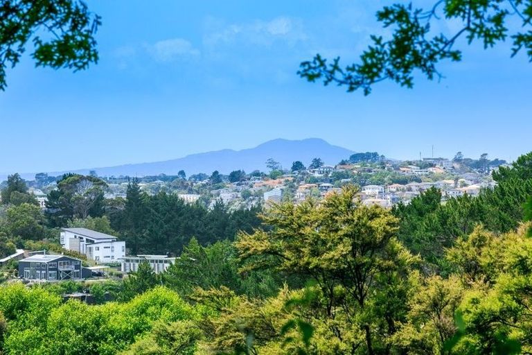 Photo of property in 219 Gills Road, Albany Heights, Auckland, 0632