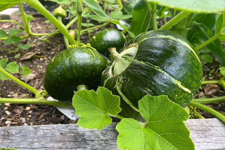 Photo of property in 150 Tilley Road, Paekakariki, 5034