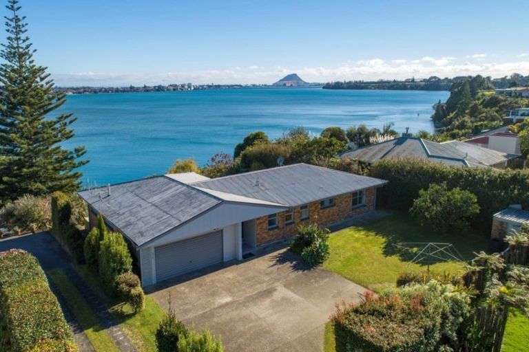Photo of property in 370 Maungatapu Road, Maungatapu, Tauranga, 3112