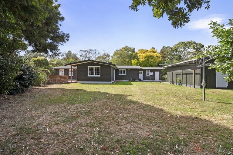 Photo of property in 273 Parewanui Road, Bulls, 4894