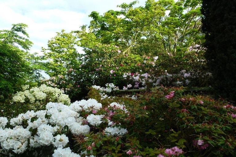 Photo of property in 2310a Dipton Winton Highway, Winton, 9782