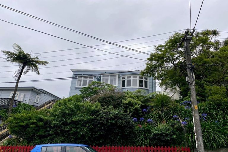 Photo of property in 9 Mckinley Crescent, Brooklyn, Wellington, 6021