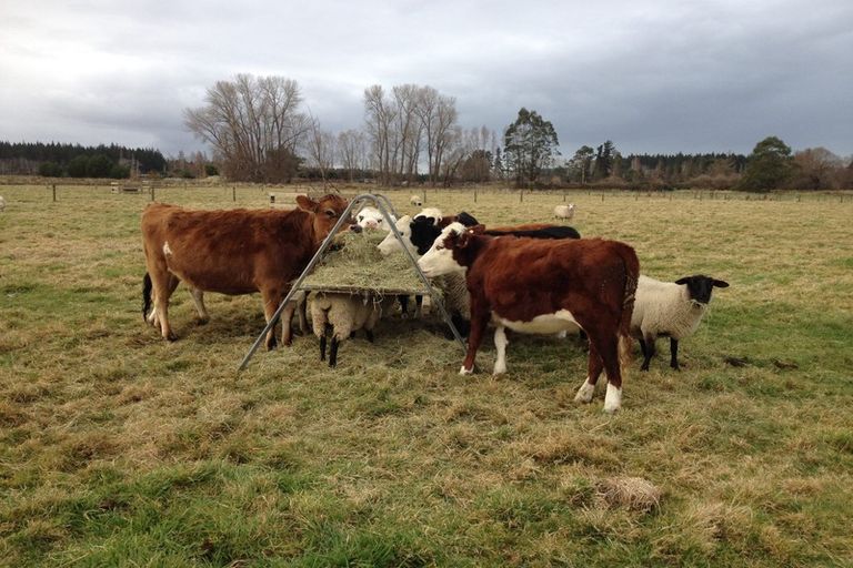 Photo of property in 81 Turners Road, Ouruhia, Christchurch, 8083