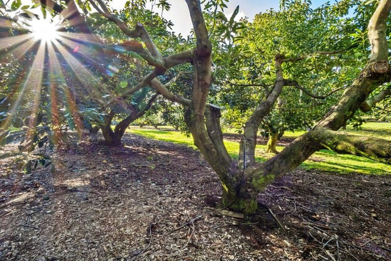 Photo of property in 237b Busby Road, Tahawai, Katikati, 3170