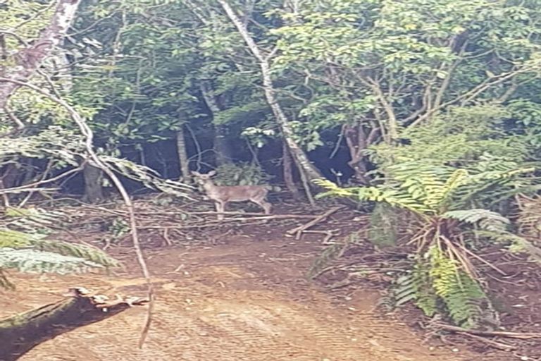 Photo of property in 20 Kaka Ridge Road, Stewart Island/rakiura, Stewart Island, 9818