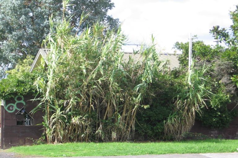 Photo of property in 68 Bruce Mclaren Road, Henderson, Auckland, 0612