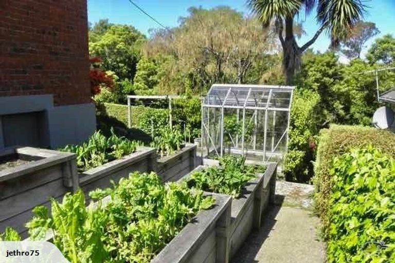 Photo of property in 8 Como Street, Maori Hill, Dunedin, 9010