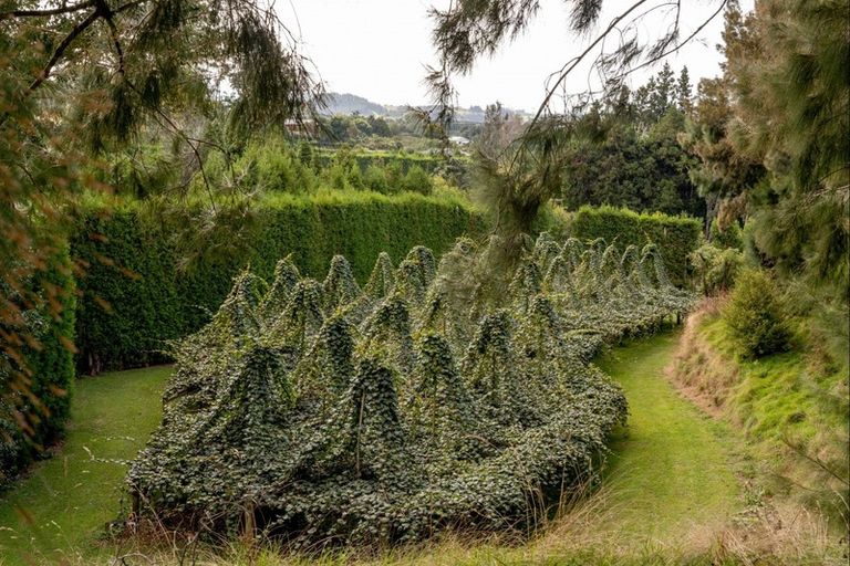 Photo of property in 93 Te Puna Quarry Road, Minden, Tauranga, 3179