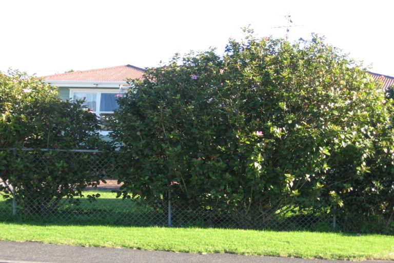 Photo of property in 16 Edward Avenue, Orewa, 0931