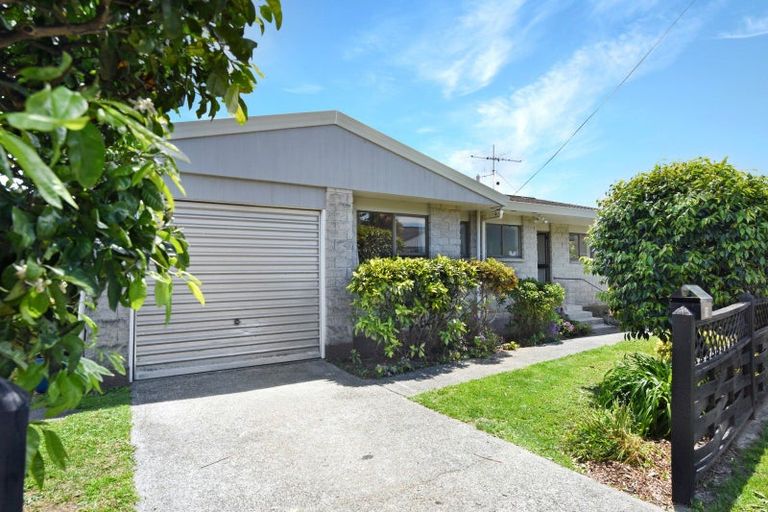 Photo of property in 10 Linden Court, Richmond, 7020