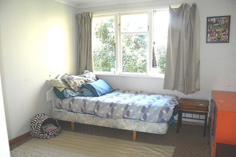 Photo of property in 141 Armstrong Avenue, Te Awamutu, 3800