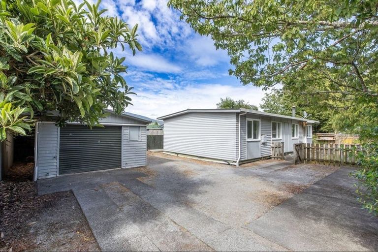 Photo of property in 162 Te Rangitautahanga Road, Turangi, 3334