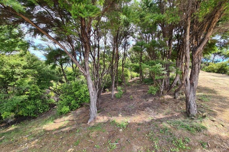 Photo of property in 890 Tuateawa Road, Waikawau, Coromandel, 3584