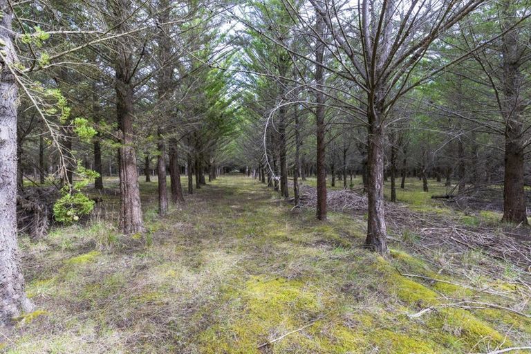 Photo of property in 243 Worlingham Road, Eyrewell, West Eyreton, 7476