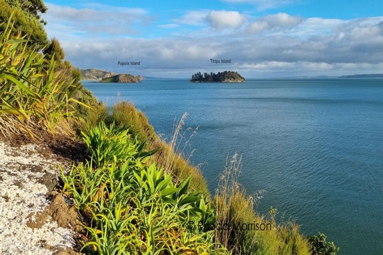 Photo of property in 23 Te Wairoa Lane, Tinopai, 0593