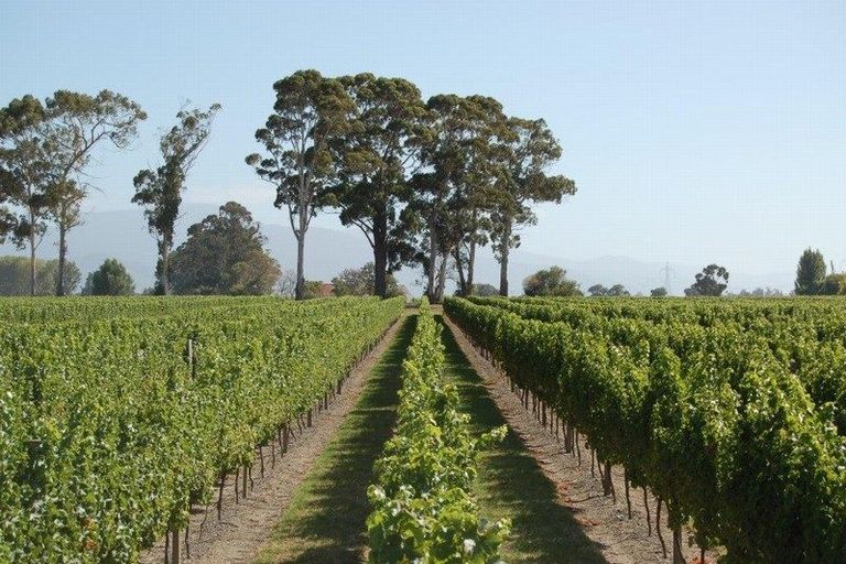 Photo of property in 23 Hardings Road, Riverlands, 7274