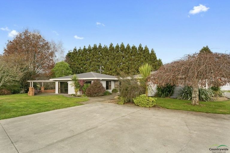 Photo of property in 22 Montgomery Crescent, Putaruru, 3411
